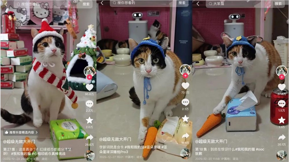 涨粉230万后，“真棒”小猫成广告界顶流
