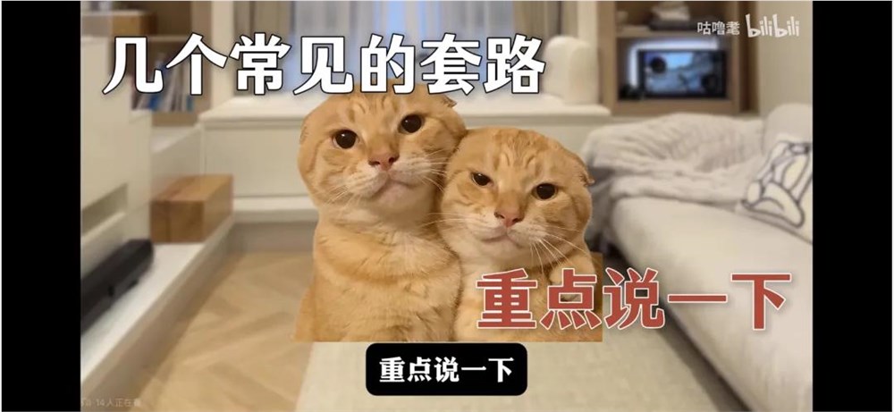 单月狂揽137万粉，B站杀出一匹“涨粉黑马”