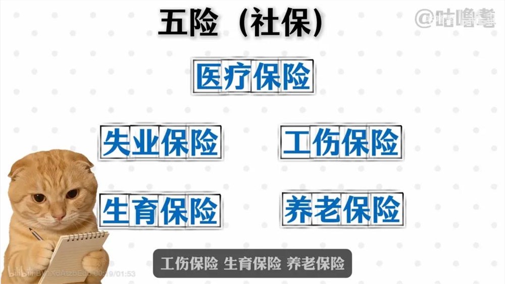 10天涨粉百万，B站出现新人流量王