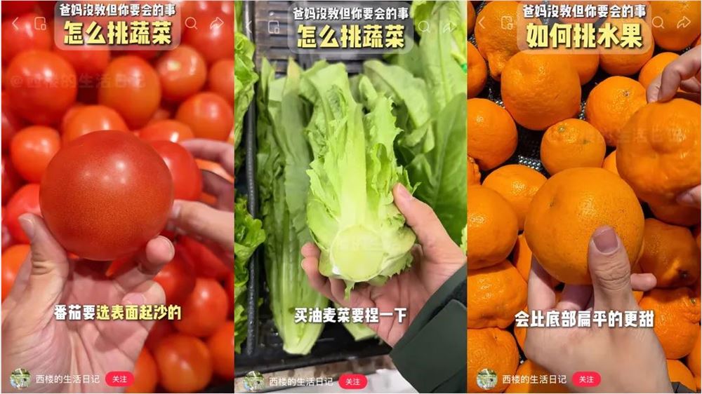 10天涨粉百万，B站出现新人流量王