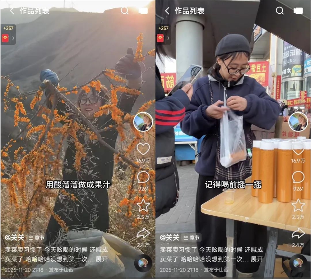 三农内容只有“卖货”和“种地”？这些年轻人给出了新答案