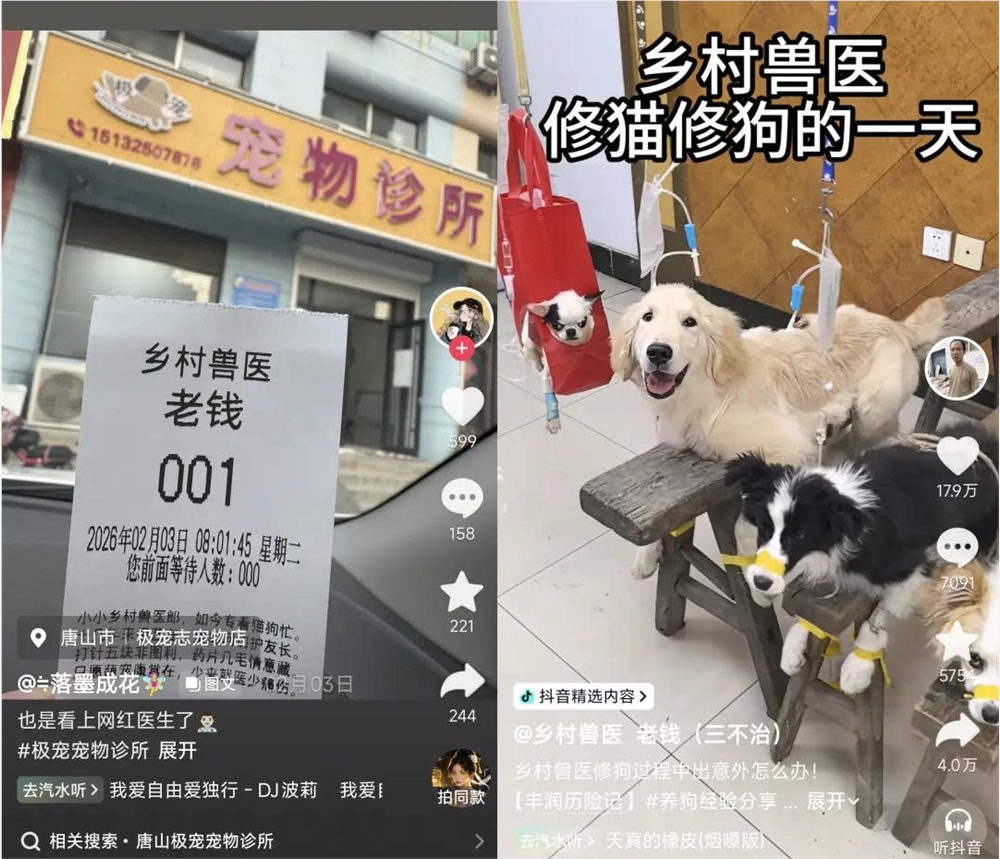 给猫狗看不起病的年轻人，把乡村兽医捧成了500万粉顶流