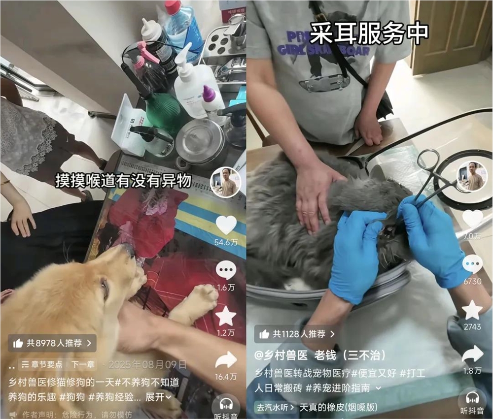 给猫狗看不起病的年轻人，把乡村兽医捧成了500万粉顶流