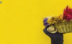 淘宝、支付宝、菜鸟……阿里系官号集体“整活”，其它品牌如何借鉴？