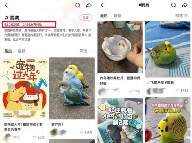 女孩们捧红的“鸟鸟教”，催熟百亿新市场