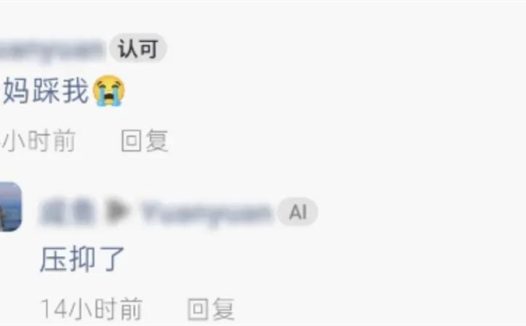 刚融资2个亿，8个人3个月做的「业余」AI项目爆了？创始人：做自己