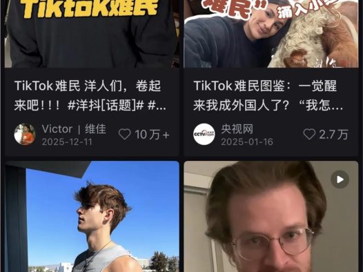 2025这一年，我们在小红书看见了这些内容